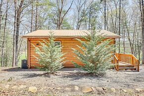 Stunning Murphy Cabin - 5 Mi to Cherokee Lake!