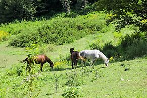 Maggie Valley Cottage Near Festival Grounds!