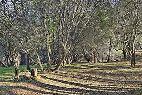 Pine Mountain Lake Cabin w/ Grill!