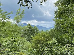 Deep Creek Overlook 3 Bedroom Cabin by Redawning