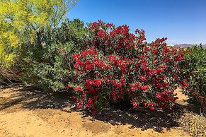 Desert Escape ~ 11 Mi to Arizona Peace Trail!