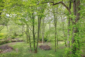 Quaint Cabin w/ Stream in Blue Ridge!