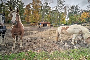 'bill Pickett' Apt on 50-acre Ranch - 1 Mi to Lake