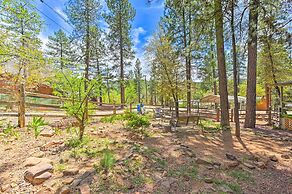 Near Hiking Trails: Woodsy Pine Cabin w/ Fire Pit