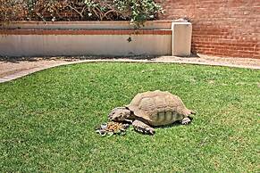 Exquisite Tucson Casita by Panto River Park Trail!