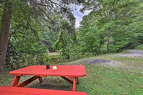 Quiet Max Meadows Cabin, 12 Acres of Property