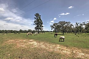 Tranquil Plantersville Cabin: Farm Animals On-site