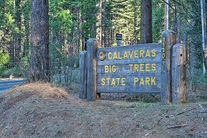 Serene Woodland Cabin: 4 Mi to Big Tree State Park