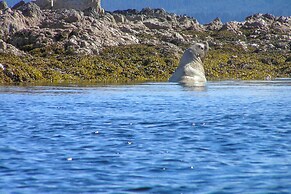 Remote Island Escape w/ Breathtaking Views