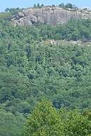 Near Parks, Trails & Lakes: Quaint Landrum Escape!