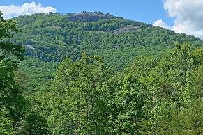 Near Parks, Trails & Lakes: Quaint Landrum Escape!