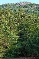 Near Parks, Trails & Lakes: Quaint Landrum Escape!