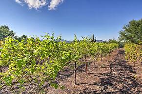 Luxe Tucson Vineyard Home w/ Views & Fire Pit