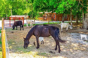 'almost Heaven' Farmers Paradise on 50 Acres!
