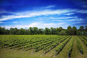 Blue Jay Cottage' - Pittsburg Studio on Winery!