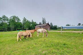 Historic Cottage on Horse Farm: Firepit & BBQ