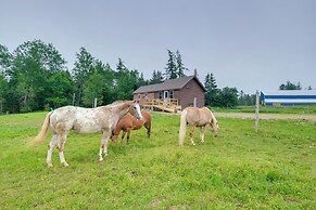 Historic Cottage on Horse Farm: Firepit & BBQ
