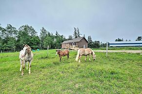 Historic Cottage on Horse Farm: Firepit & BBQ