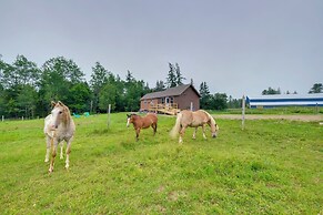 Historic Cottage on Horse Farm: Firepit & BBQ