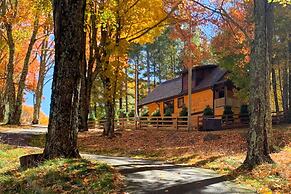 Fire Pit & Grill: Modern Beech Mountain Cabin!