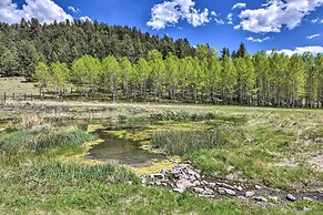 Quiet Guffey Getaway w/ Private Deck, Pond & Canoe