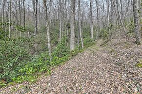 Cozy Blue Ridge Mountain Cabin on 18 Acre Lot