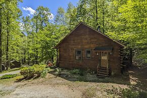 Cozy Blue Ridge Mountain Cabin on 18 Acre Lot