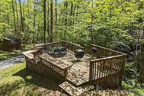 Cozy Blue Ridge Mountain Cabin on 18 Acre Lot