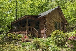 Cozy Blue Ridge Mountain Cabin on 18 Acre Lot