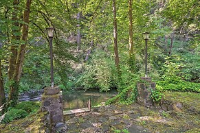 Outdoor Adventure: Tranquil Creekside Retreat