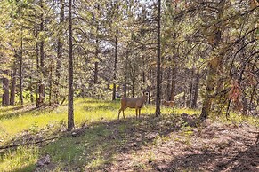 Wooded Retreat w/ Deck: 4 Mi to Downtown Flagstaff