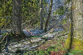 Mysty Mountain Cabin on River: Near Stevens Pass!