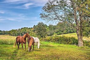 Mammoth Cave Rental on 50 Acres: Shared Amenities