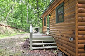 Fire Pit & Forest Views: Secluded Murphy Cabin!