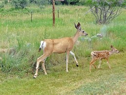 Emigrant Cabin on 10 Acres w/ BBQ & Peaceful Views