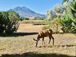 Emigrant Cabin on 10 Acres w/ BBQ & Peaceful Views