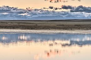 Updated Townhouse w/ Pergola, Walk to Downtown!