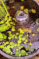 Luxe El Cajon Oasis w/ Pool, Fire Pit & Pavilion