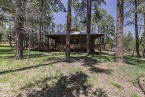 Well-appointed Alto Cabin w/ Fire Pit & Pool Table