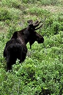 Nomad Haus w/ Mtn Views & Deck - 25 Mi to Breck!
