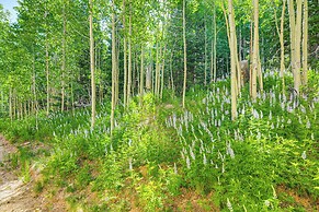 Spacious Brian Head Mtn Getaway w/ Hot Tub!