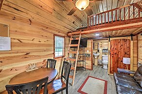 'the Gosling' Studio Cabin w/ River Access!