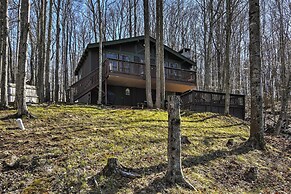 Cozy Beech Mountain Family Retreat w/ 2 Decks!