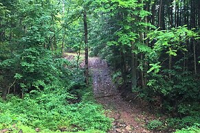 Serene Saxton Lodge: 7 Mi to Lake Raystown!