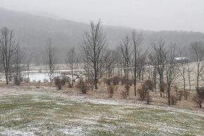 Private Dog-friendly Home: 3 Mi to Elk Mountain