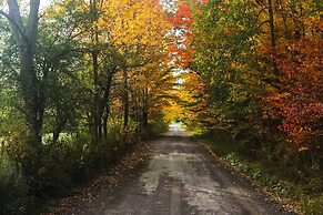 Private Dog-friendly Home: 3 Mi to Elk Mountain