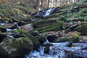 Private Dog-friendly Home: 3 Mi to Elk Mountain