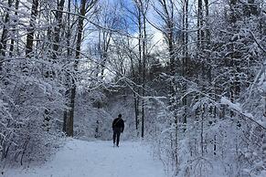 Private Dog-friendly Home: 3 Mi to Elk Mountain