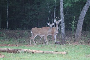 Romantic, Cozy Loft w/ Yard, 5 Miles to Clemson