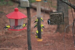 Romantic, Cozy Loft w/ Yard, 5 Miles to Clemson